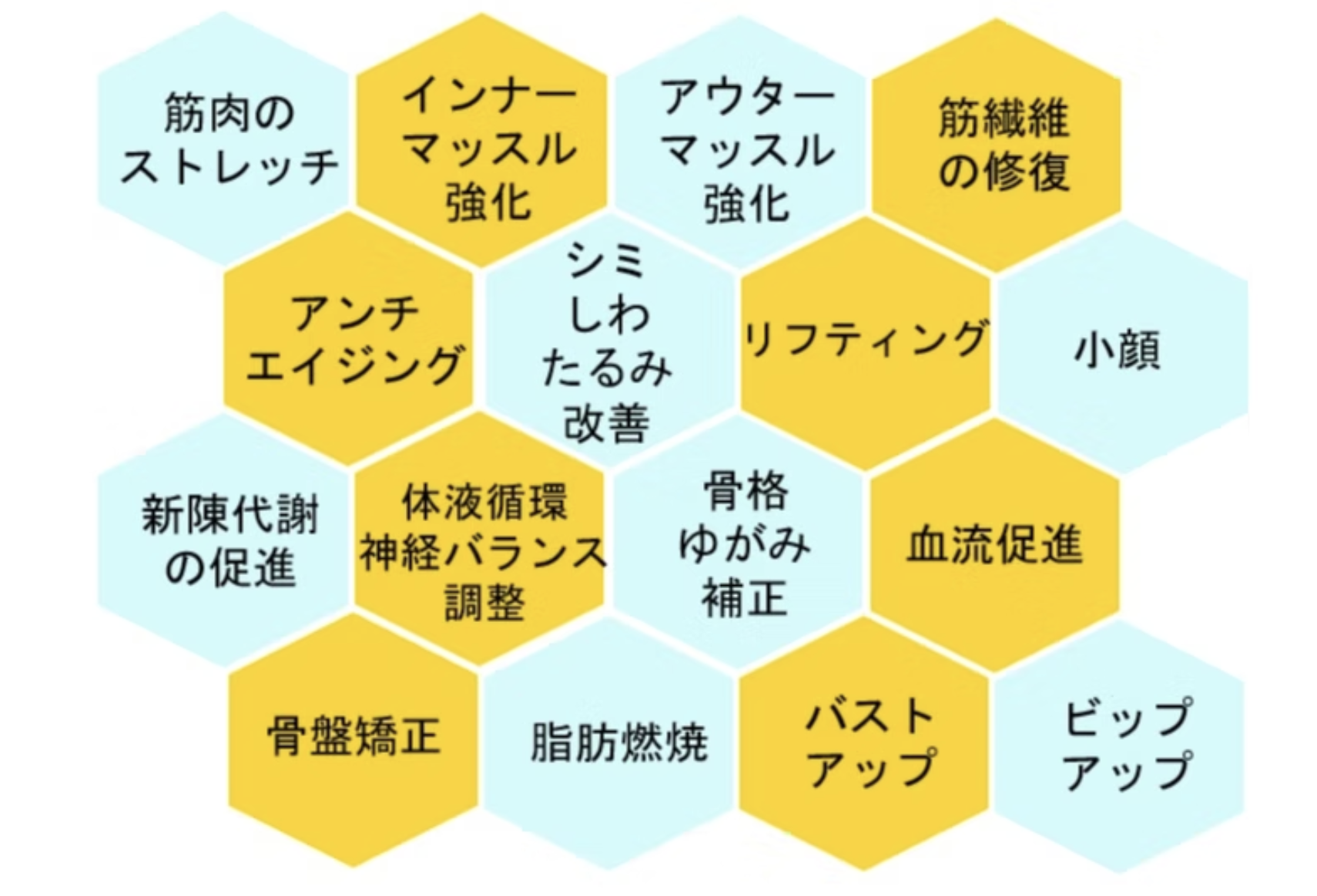 バイオウェーブの効果一覧